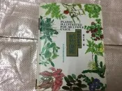 神奇的多用途 植物圖鑑 鄭元春