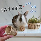 店長強推👍哈密兔事·葫蘆草圈圈⭕️片片｜兔子草食玩具 龍貓零食天竺鼠零食兔零食兔牧草倉鼠零食