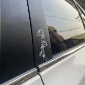 金魚 烏龜 花貓 陸戰隊 鸚鵡 銀白 反光貼紙 防水耐曬 車貼