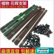 現📢可開收據💛爬藤架蝴蝶蘭支架園藝植物夾子花卉固定藤蔓爬藤蘭花金錢樹天堂鳥支撐杆