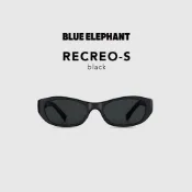 【BLUE ELEPHANT】RECREO-S black MAIN一般款式 太陽眼鏡 墨鏡 附盒 官方旗艦店