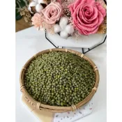 現貨 毛綠豆 1斤600g 綠豆 粉綠豆 煮綠豆湯