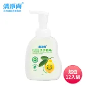 【yesgogogo 即食購】清淨海 環保洗手慕斯480g超值家庭號12入組