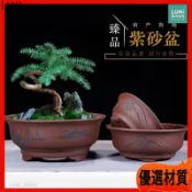 紫砂花盆 大口徑 盆景盆 老樁盆 陶瓷花盆 透氣 復古 禪意 陽臺 庭院 盆栽 植物 花器 粗陶盆 蘭花盆 圓形