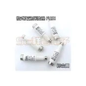 (店+)栓型FUSE 栓型 栓式 保險絲 2A ~ 30A 栓型陶瓷FUSE 栓式陶瓷FUSE (1入)