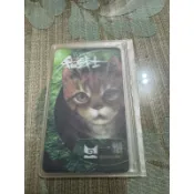 白鷺鷥書院(二手書)貓戰士卡片 一鬚 L