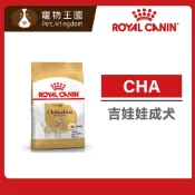 (店+)【ROYAL 法國皇家】CHA 吉娃娃成犬專用飼料1.5kg / 3kg｜狗乾糧 狗飼料 皇家狗飼料