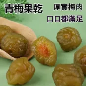【限時優惠】青梅乾袋裝 爽口青梅果乾 酸梅子 話梅乾 蜜餞果脯果乾 網紅解饞 休閒零食