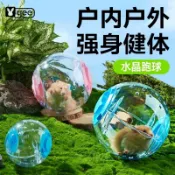 新品发售-倉鼠運動跑球 倉鼠靜音運動跑輪水晶球 倉鼠跑球玩具 倉鼠跑球 倉鼠滾輪 黃金鼠刺蝟龍貓松鼠天竺鼠小寵運動跑