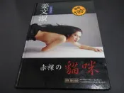 姜文淑全裸寫真赤裸的貓咪 精裝版 八成新