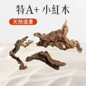 宏洋水族【 XS~L☚ 特A+ 小紅木】水族裝飾品 天然沉木 水族造景 沉木造景 杜鵑根 水族箱造景 沉木造景 水草造景