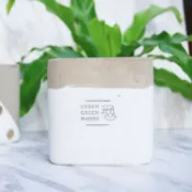 UGM方型清水模盆器 / 簡約白L (植栽/澆花/盆栽/花盆/清水模/水泥盆/多肉植物/仙人掌)【超有份量】