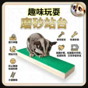 XL和LX小寵穿搭所 【XL-LX】隔日達 蜜袋鼯玩具 磨砂站臺 小寵攀爬玩具 小蜜站棍 小蜜站棍 鼯幼崽 寵物用品