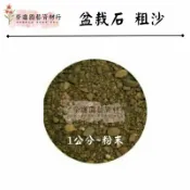 盆栽石 粗沙 大小顆粒混合~~多肉石 盆栽石 多肉石頭【榮進園藝資材】