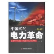 中國式的電力革命 - 吳疆 著 - 2019-04-01 - 科學技術文獻出版社 - 11