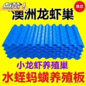 【核心賣點】澳洲淡水龍蝦巢 蟹屋 小龍蝦躲避窩 螞蝗 水蛭 板蜂巢 螃蟹養殖巢 人工 窩 躲避屋 躲避洞 守宮躲避屋 躲
