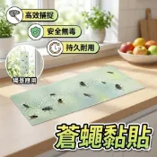 【隔日到貨】 蒼蠅貼 黏蒼蠅片 捕蠅貼片 強力黏蠅紙
