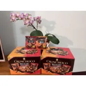 免運(購買最新效期)奶素義美巧克力酥片 35g28入大包的香脆杏仁巧克力脆片巧克力餅乾杏仁巧克力costco好市多
