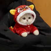 寵物舞獅服 寵物醒獅服 寵物新年衣服 寵物過年衣服 寵物衣服 貓咪衣服舞獅裝四腳衣中國風新年裝保暖毛絨寵物衣服連帽狗狗衣