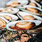 【94海鮮】紐西蘭半殼淡菜