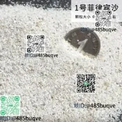 寄居蟹專勇沙天然墊材珊瑚沙菲律賓沙造景原生貝殼砂三湖慈雕底砂
