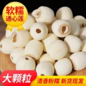 地方農貨 幹貨😋【淨重】湘潭新貨蓮子新鮮乾貨無芯去皮白蓮子百合銀耳蓮子羹煲湯