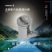【思維康SWEETCOM】EVERPOLL愛科濾淨 FH-M 全屋量子(能量)整水器