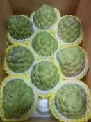 台東太麻里釋迦 大目釋迦10斤 B果