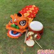 💥台灣熱卖💥兒獅子頭舞獅兒童獅頭玩具幼兒表演道具全套小孩子舞獅頭塑料醒獅