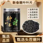 杜仲葉茶包泡水喝正宗張家界深山嫩芽葉新貨精選養生花草茶批發