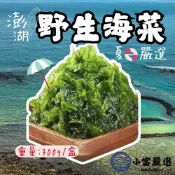 小富嚴選 【1200免運】澎湖海菜 野生海菜 澎湖野生海菜 (300g/包) 炒海菜 海菜湯 涼拌