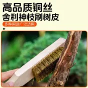 盆景清潔刷 盆栽除塵刷 園藝清潔刷 盆景絲雕造型工具舍利幹刷子樹皮刷手動鋼絲刷彎頭銅絲刷盆景刷