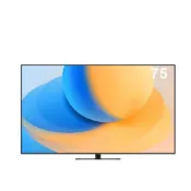(店+)【Panasonic 國際牌】(限地區福利品)75吋4K連網LED液晶電視TV-75W95AGT -含基本安裝+舊機回收