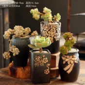 百家樂百貨市場 多肉花盆陶瓷復古盆栽創意盆粗陶多肉植物大口徑組合套裝大號