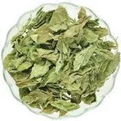 花草 芭樂葉300g 另有 迷迭香 薄荷 薰衣草 馬鞭草 檸檬草 甜菊葉 桂花 茉莉花 洋甘菊 粉玫瑰 鼠尾草