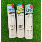 油頭必備🌸 Diane 黛絲恩 零粉感隱形乾洗髮噴霧 清新柑橘香 薄荷柚香 無香 95g