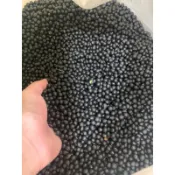 青仁黑豆300g/600g現貨-蝦皮代開發票-華崴嚴選