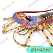 【臺灣出貨 在臺熱售】仿真海洋生物龍蝦玩具螃蟹模型波士頓龍蝦大號澳洲龍蝦兒童男禮物