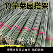 源創優品 【滿500出貨】菜園竹竿種菜黃瓜爬藤支架彩旗桿小竹子棍豆角架菜園搭架柵欄裝飾【甄選優品】