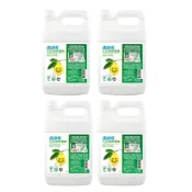(店+)【清淨海】宅配箱出 環保洗手慕斯 4000ml  加侖瓶裝  4入/箱
