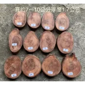 台灣櫸【紅雞油】原木年輪木片/隔熱墊茶壺墊湯鍋墊/藝品盆景奇石陶藝擺設底座/置物架/木質墊片/雕刻裝飾用材