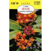 【萌田種子~】Y90 馬利筋 ~天星牌原包裝種子~