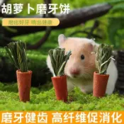 🔥【批發】倉鼠胡蘿蔔磨牙棒小零食金絲熊兔子草餅可食用磨牙石玩具造景用品