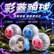 【現貨】倉鼠跑球 倉鼠運動球 小寵透明滾球 倉鼠外出互動玩具 黃金鼠三線鼠布丁鼠適用 寵物鼠滾球 跑跑球 倉鼠用品