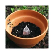(店+)花盆墊片 錐形透氣墊片網片 花盆防漏土 花盆擋土 透氣防爛根 瀝水墊片 防積水 墊片 園藝配件