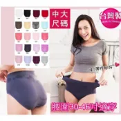【熊好買】台灣製 席艾妮 666中高腰女內褲 (30~46吋腰圍適穿) 加大款超彈力無接縫一體成型女性三角褲