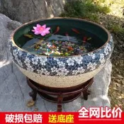 【甄選】景德鎮陶瓷器養金魚大缸包郵烏龜盆水培植物睡蓮碗蓮水缸桌面擺件