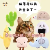 ❤️台灣現貨天天出貨❤️新開幕新舊客優惠便宜衝評價‼️貓薄荷玩具天堂來了!!! 貓 貓薄荷 貓咪玩具 寵物玩具 玩具