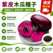 💎現貨 隔日達💎紫皮木瓜種子 稀有品種 果皮紫紅 營養加倍 自種盆栽 可食用可觀賞 生長強健 色澤豔麗 營養價值高