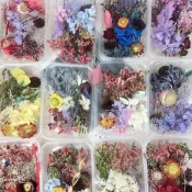 (店+)盒裝 熱賣diy材料包 一盒 乾燥花 永生花 擴香石材料 不凋花 浮游花 蠟燭香薰 手工活動壓花 相框 拍照道具